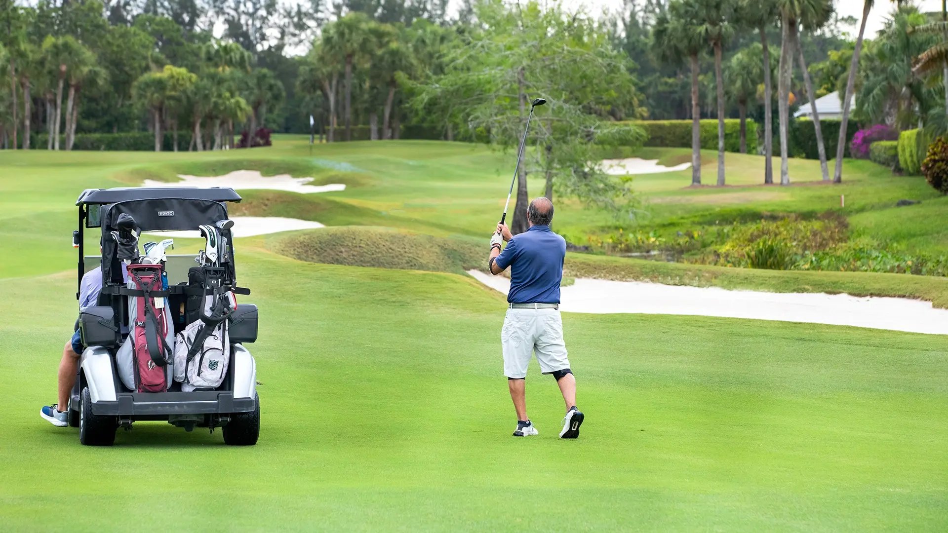 Arrive Golf Enjoy