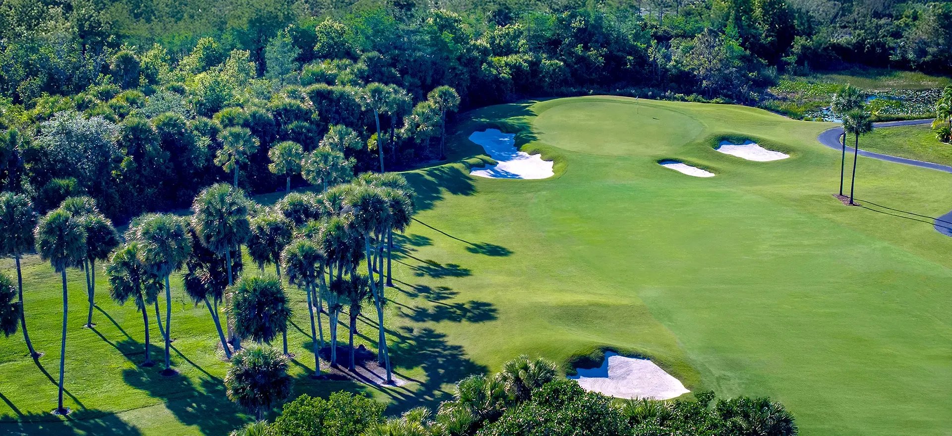 Experience Golf